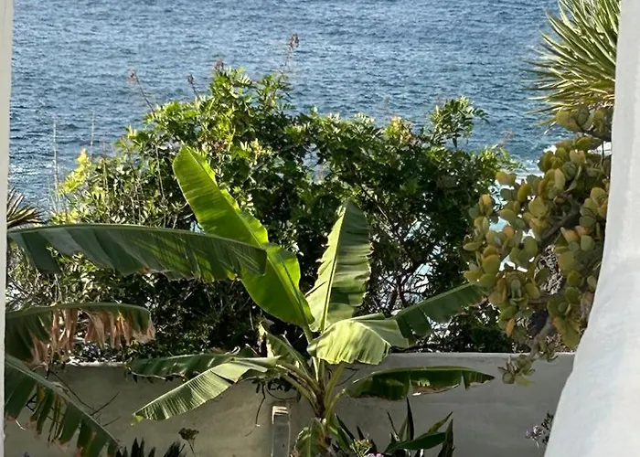 Paraiso Del Norte *